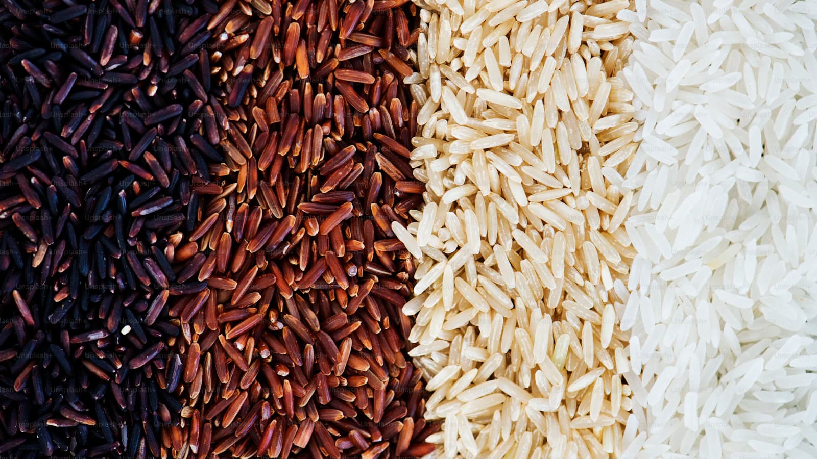 Épicerie Sèche — TAZA Supermarché Halal Strasbourg