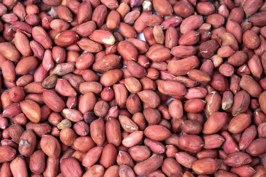 Cacahuètes Crues avec Peau d'Afghanistan — TAZA | TAZA Supermarché Halal Strasbourg