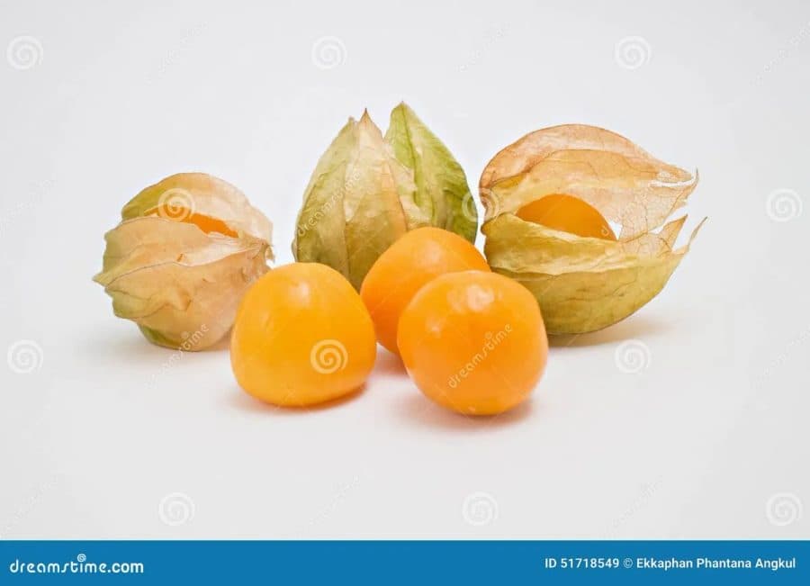 Physalis — TAZA | TAZA Supermarché Halal Strasbourg